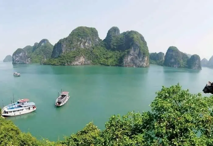 Homestay Cat Ba Fishing Village Bay House